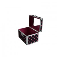 Vanity professional beauty cosmetic case travel cosmetic case